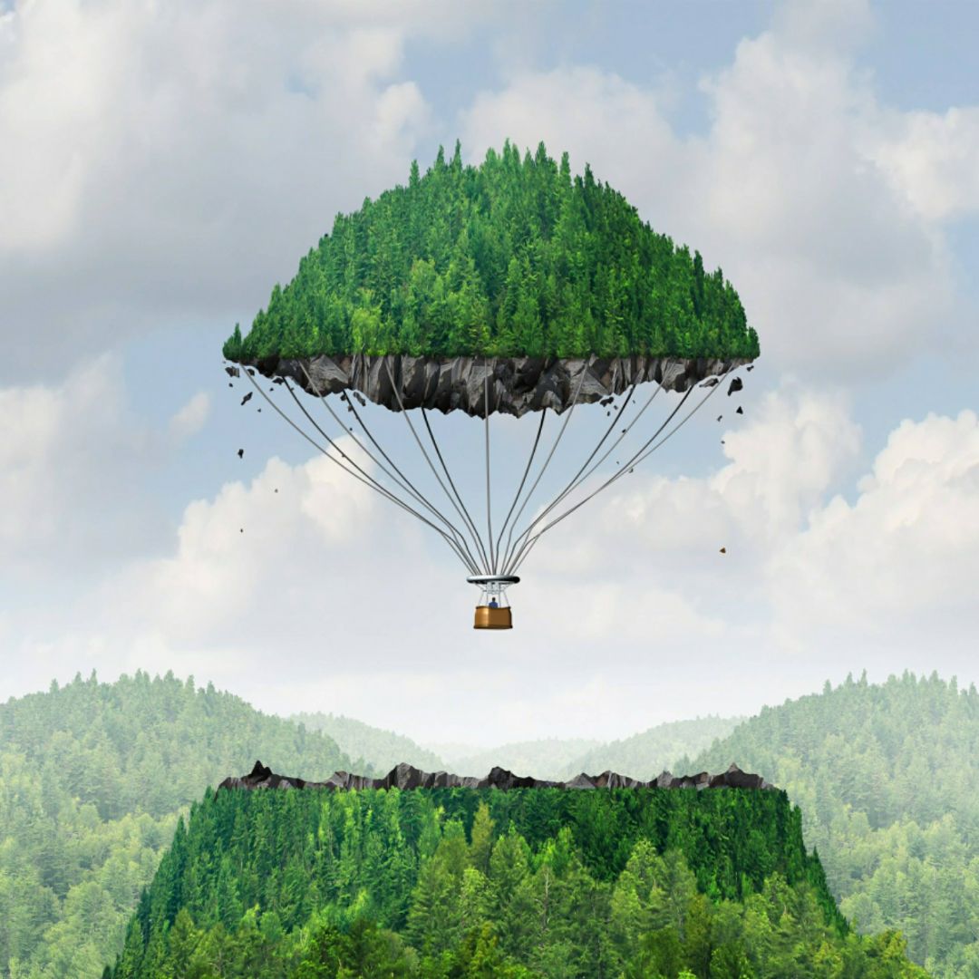 爱吃五香大饼的离洛