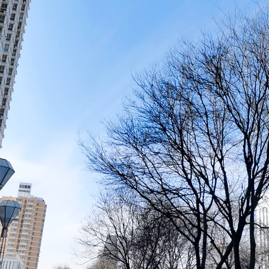 向生活的路上飞奔