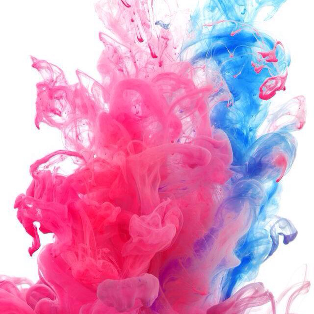 爱吃巧虎便当的奋斗者