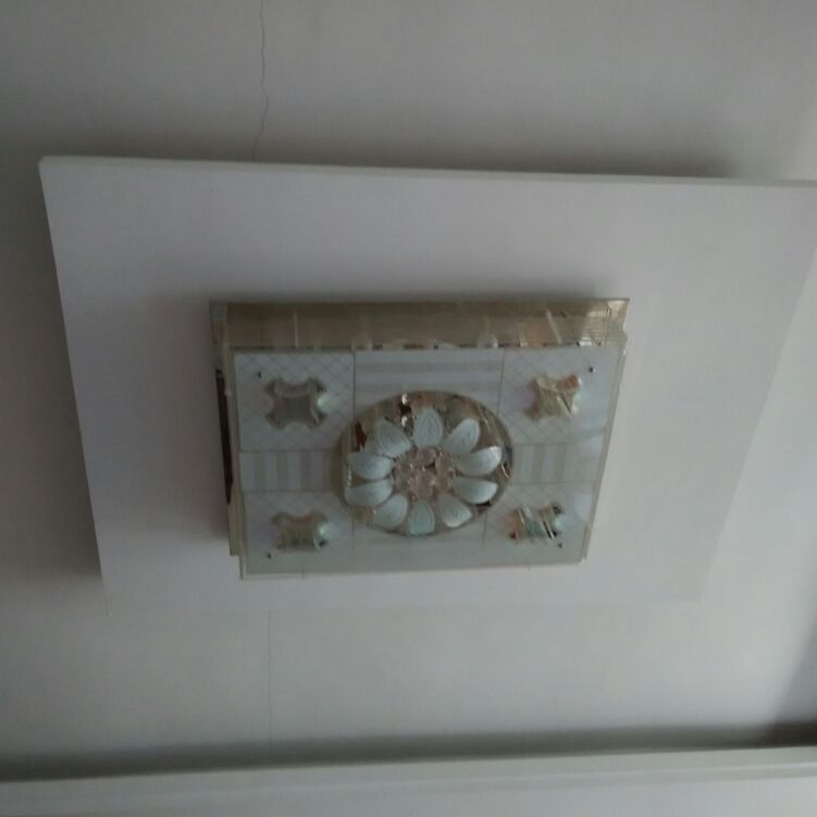 亮红的中东海枣正春