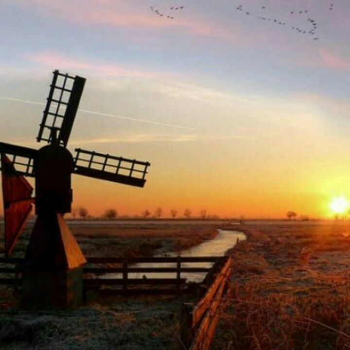 购买者哈嘻88158