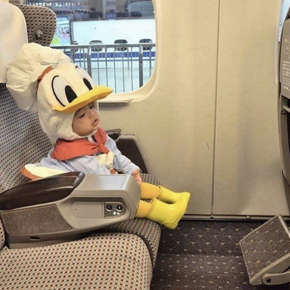 饿坏的兔子要吃狼