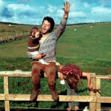 安菲尔德的草坪