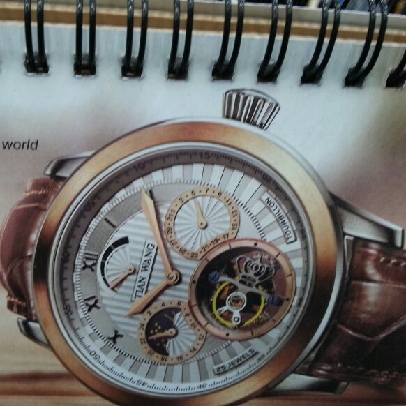 爱吃卤水乳鸽的小桃树