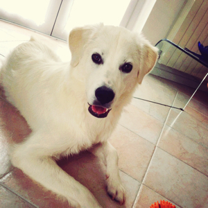 爱吃滑蛋鲜菇的小确幸