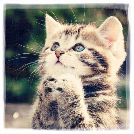 广东无爱情故事