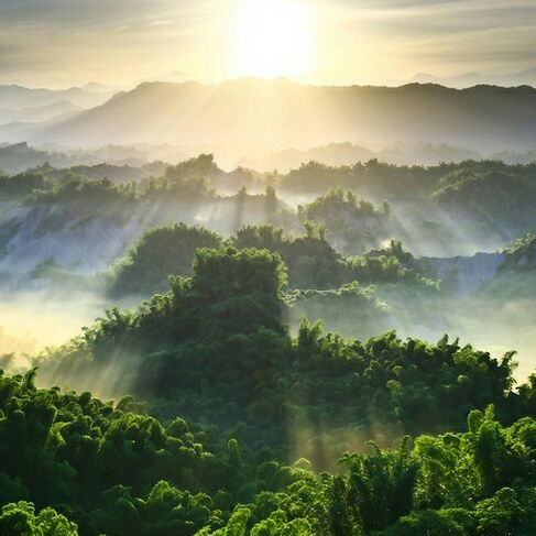 九华山里的大妖