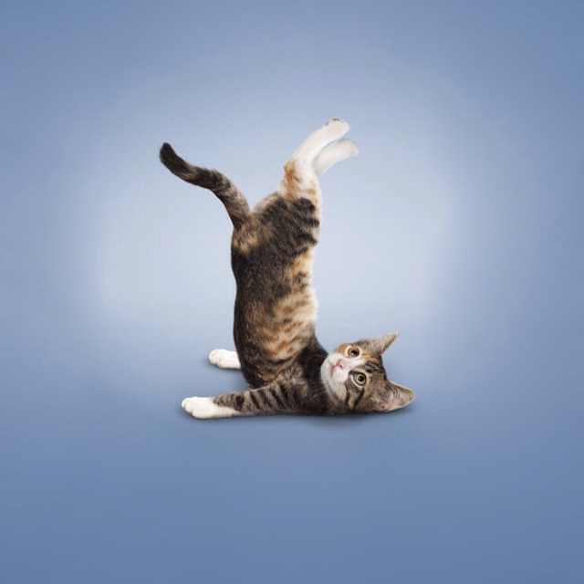 ohh就是小仙女儿