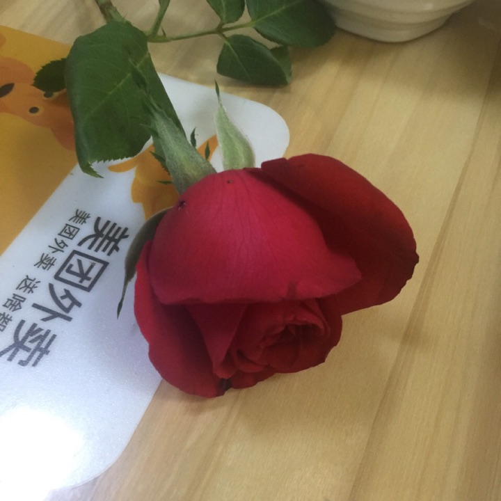 西红柿自由吃吧