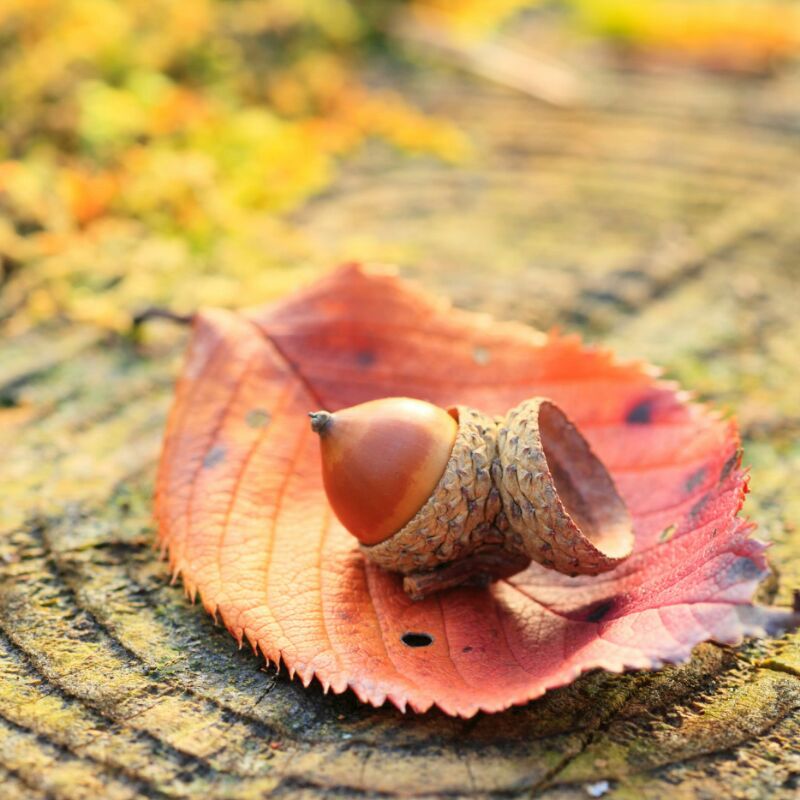 走遍地球村之路