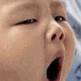 西伯利亚的灰狼