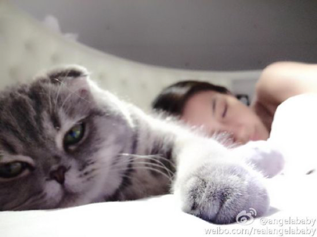 是你的小熊软糖.