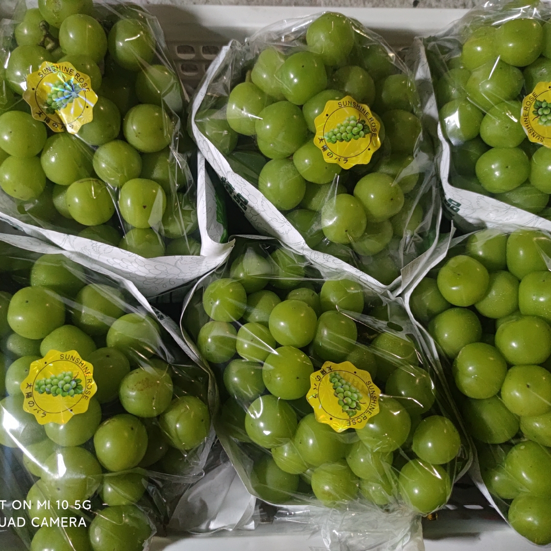 印不完的花印花