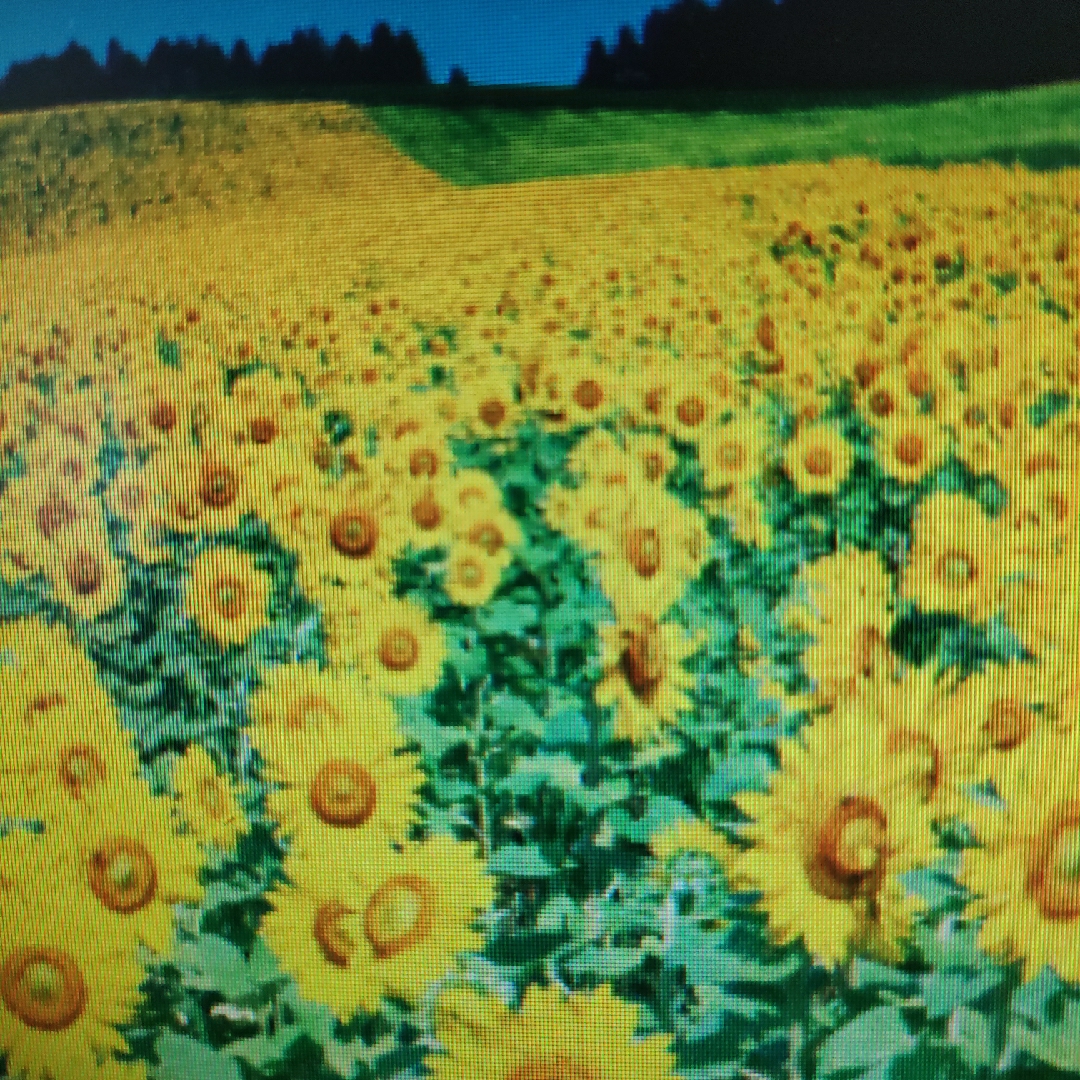 流浪的漂流平168