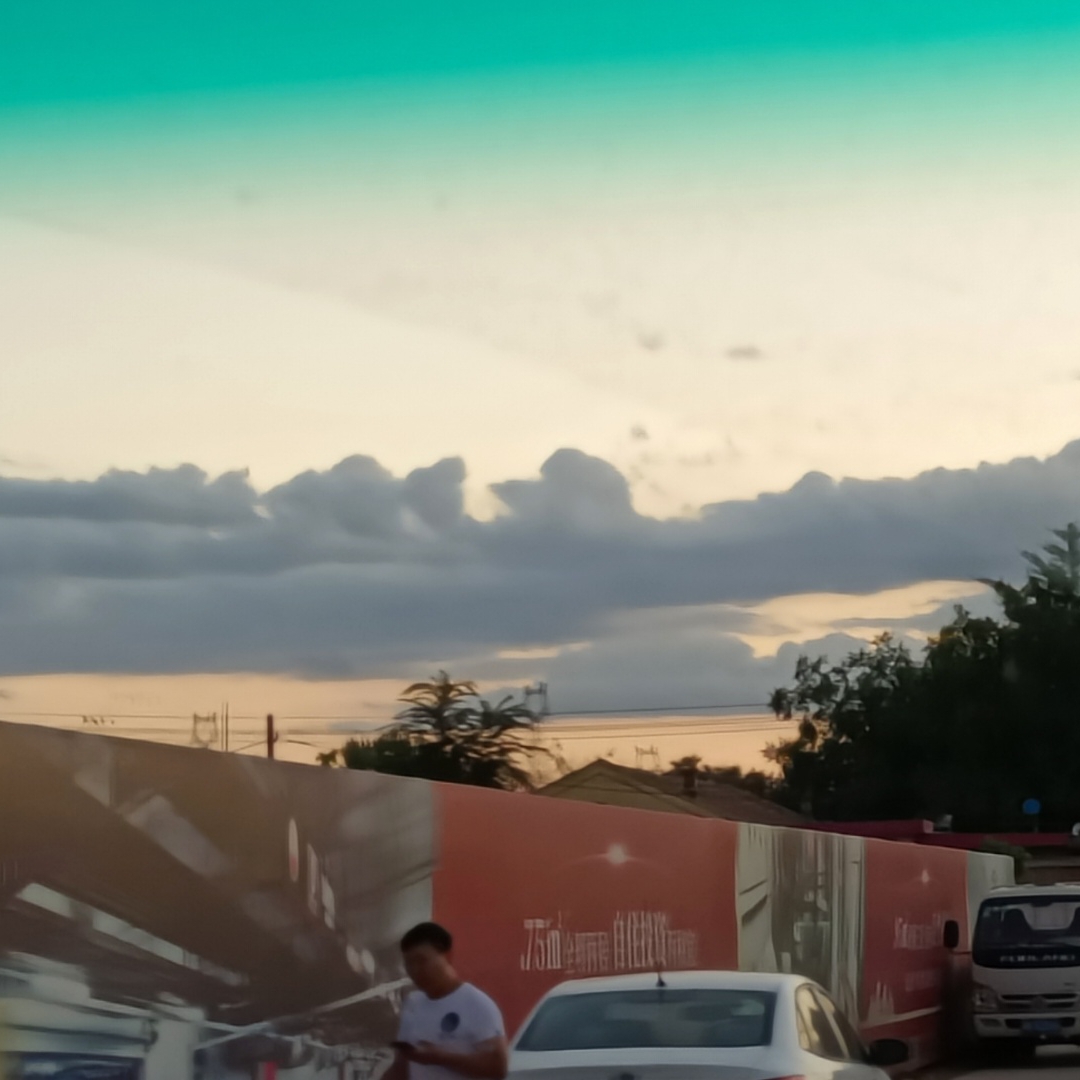 珊瑚红的东亚唐棣