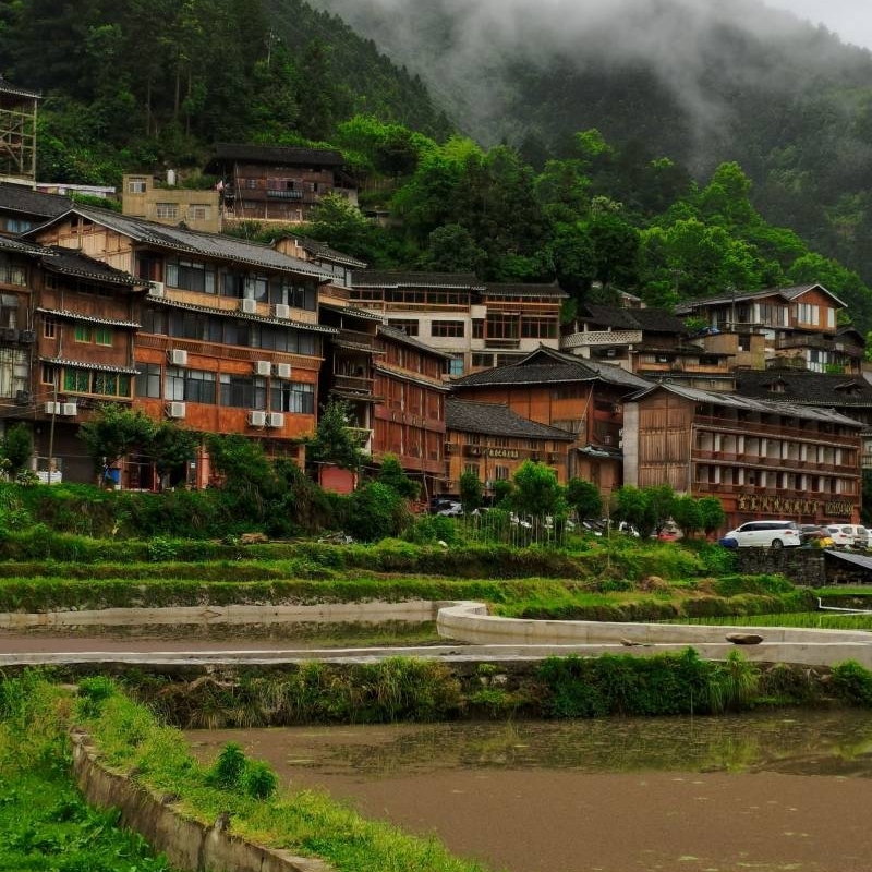 淡绿的桃爱漂亮