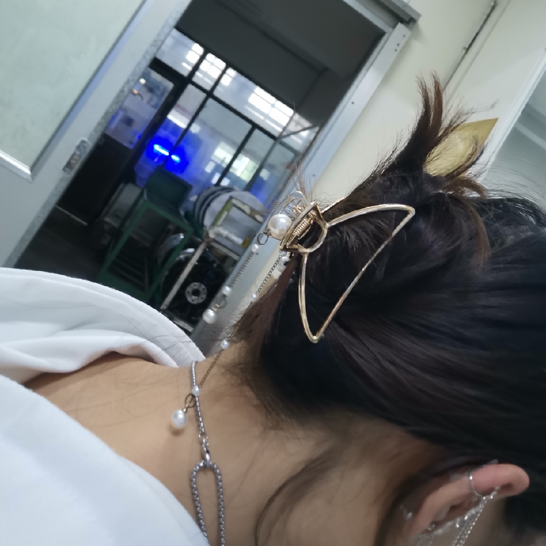 爱吃提子饼干的海棠