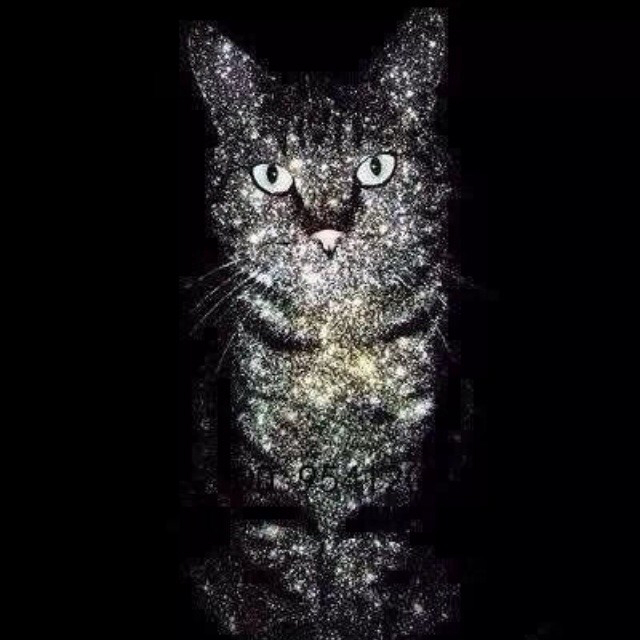 合肥有个虎老板