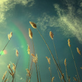 尼古拉斯：小明