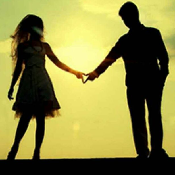 花开富贵塔里木