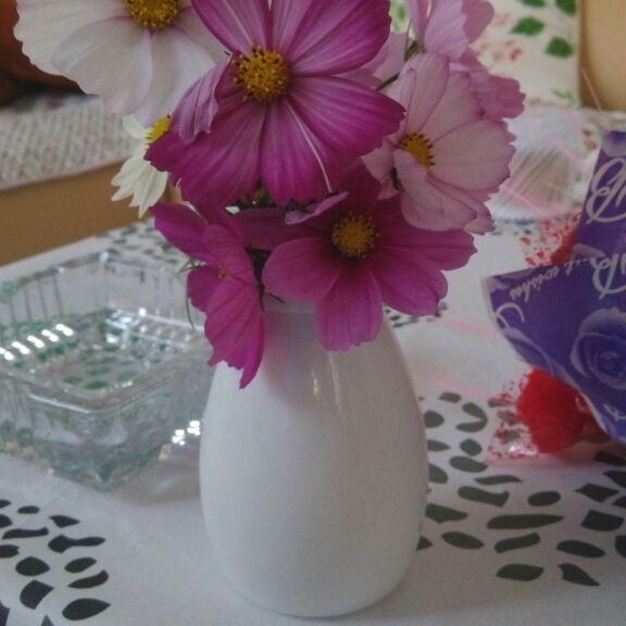 你我注定有缘无分