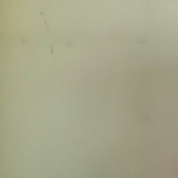 天真宝贝会说话