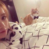 陈大宝的购物车