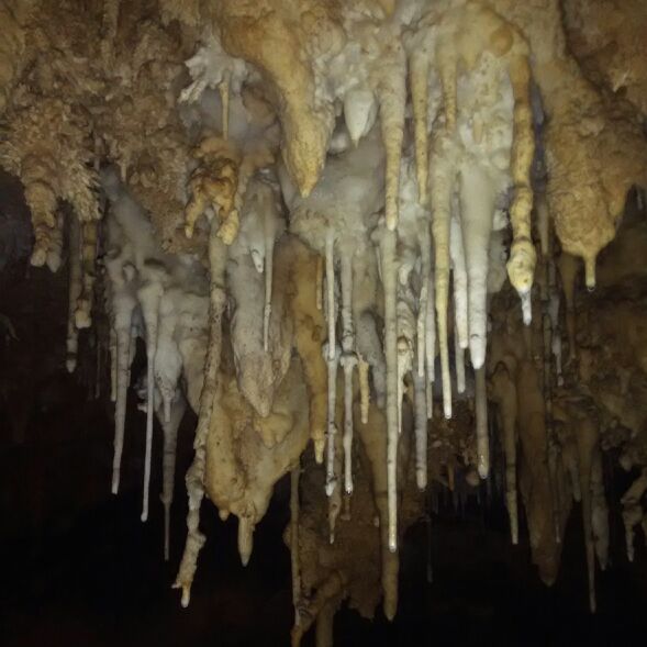 ☆孤傲☆公主☆