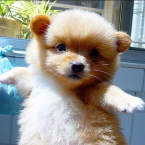 我想要的你给不了～