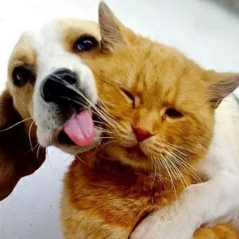 xiongying0226快乐无边