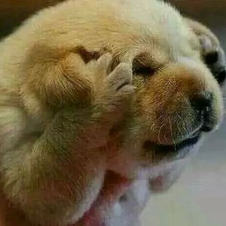 小时候太乖……