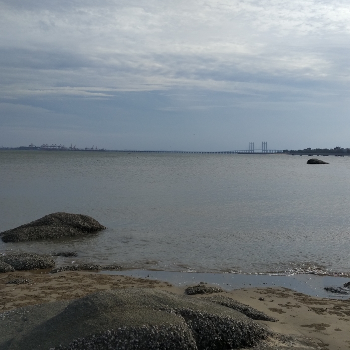 爱吃碎碎汤面的图图