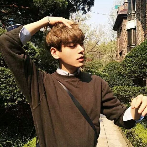 Lemontree,,,,,,,,,,,