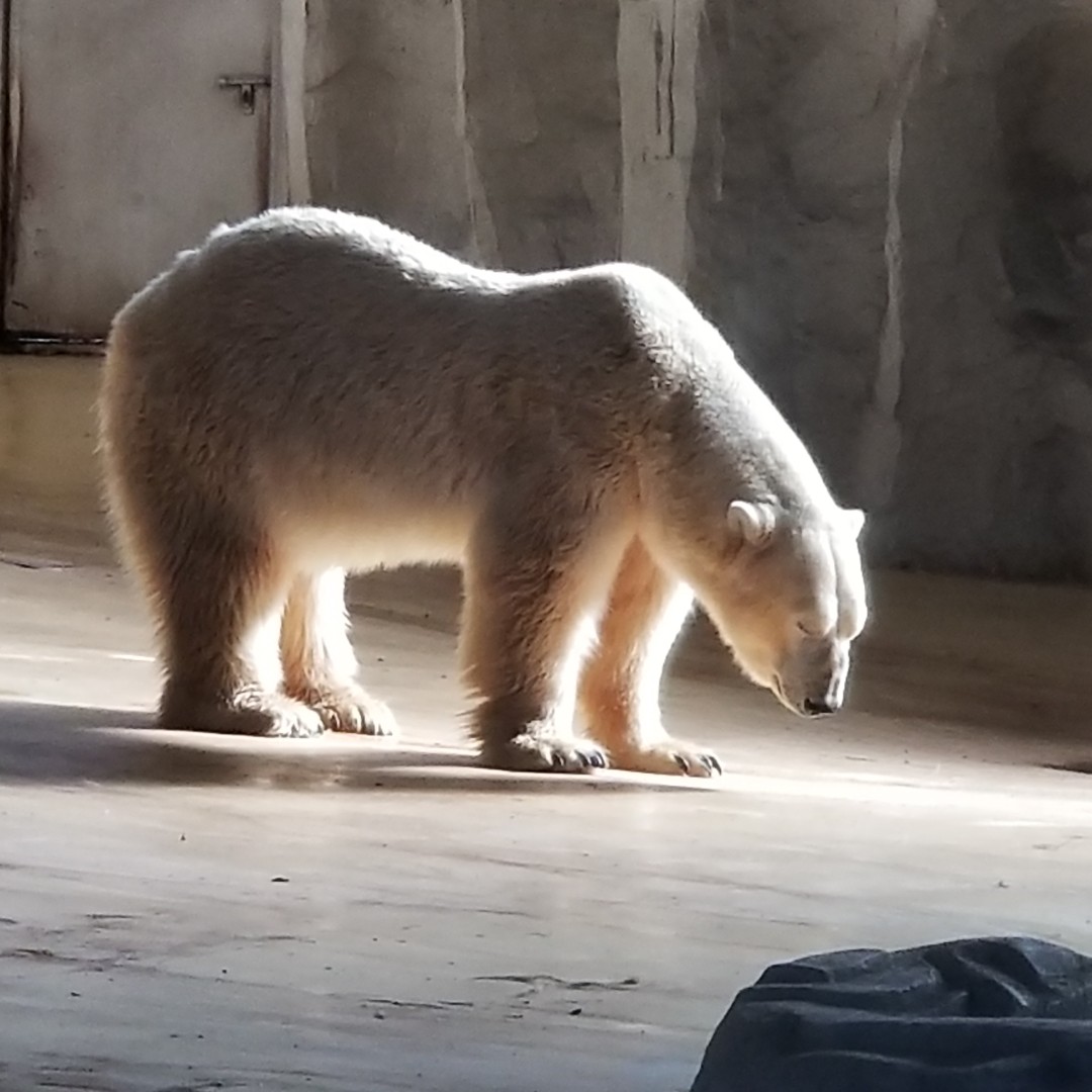 大家开开心心的~