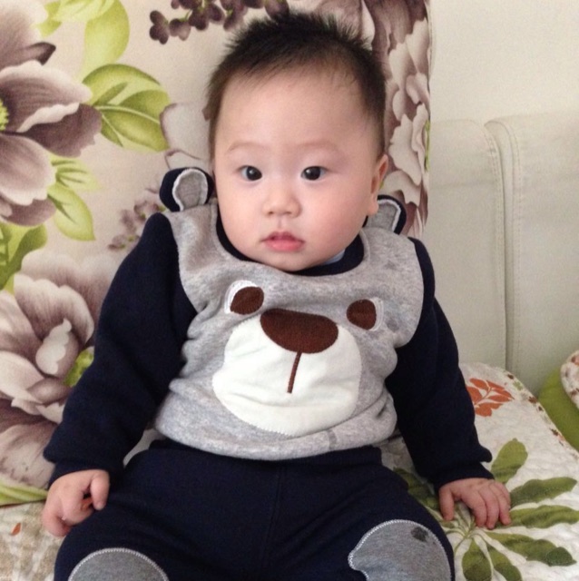 爱吃紫米粽子的略略略