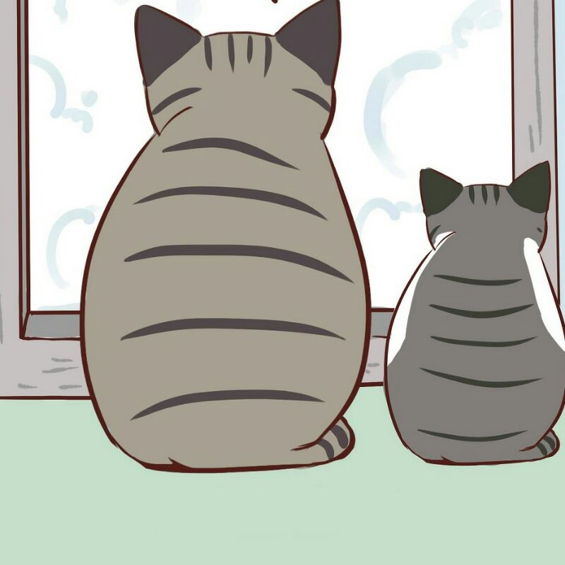 西红柿大战绿白菜