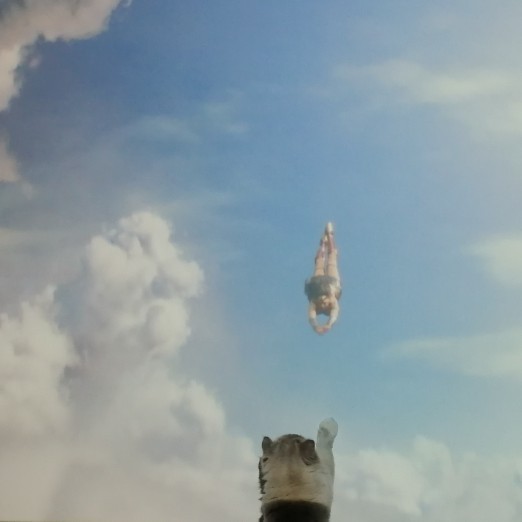 逛着逛着就买了