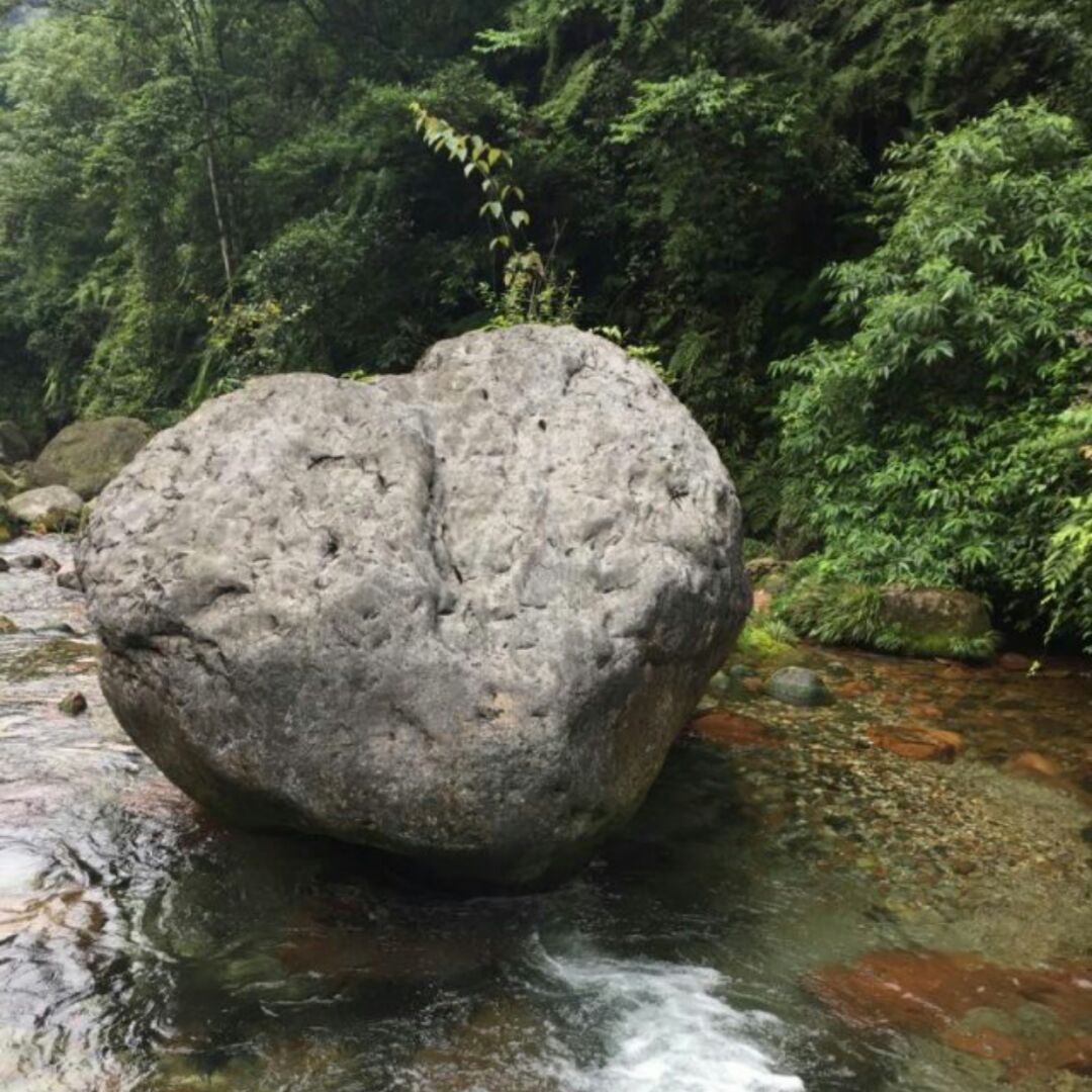 爱吃糖醋肉丸的豆浆