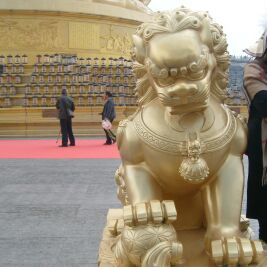 努力前行玩游戏