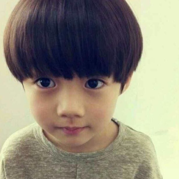 印度洋谨慎的苏木