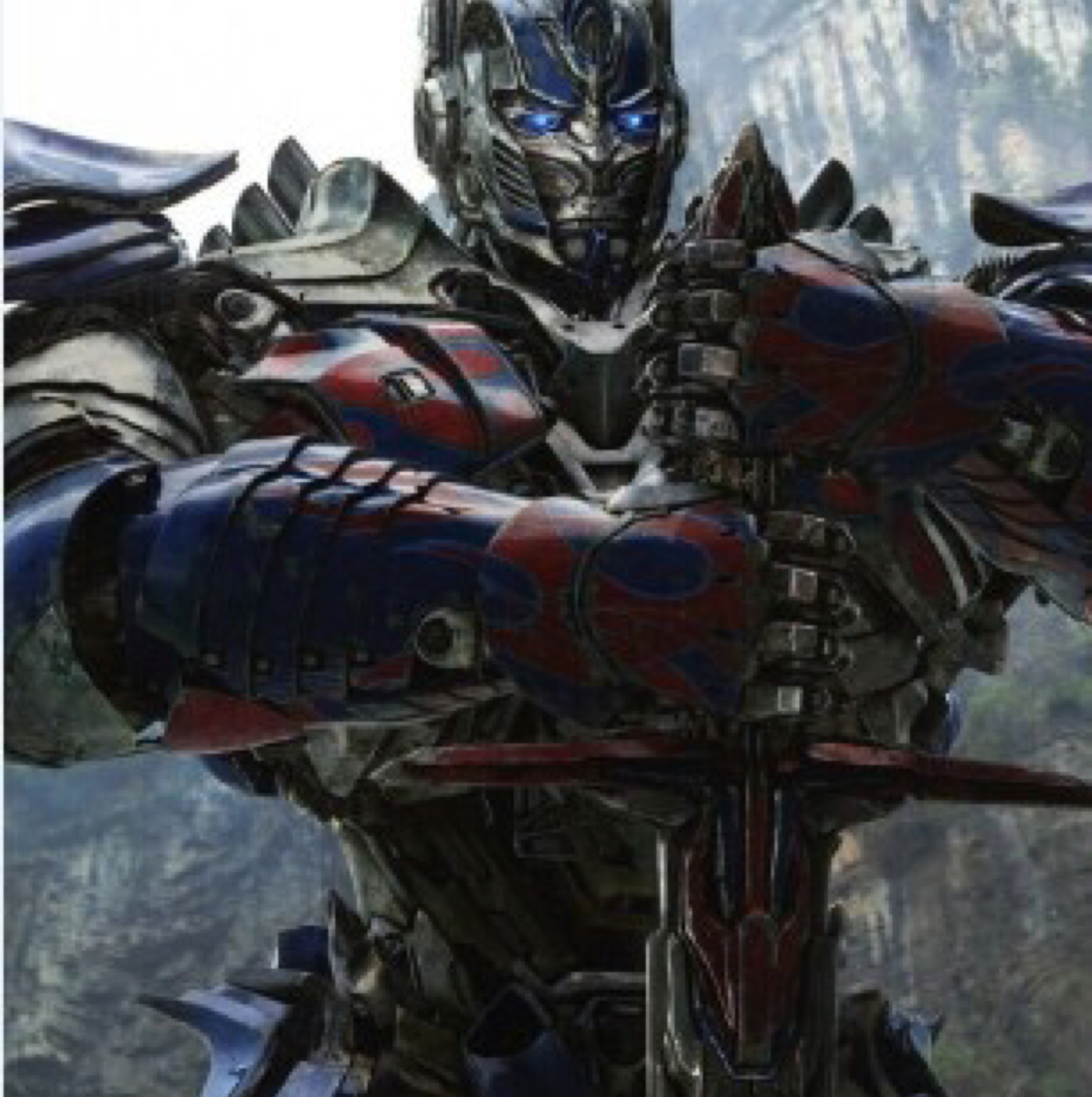 穿礼服的神经猫