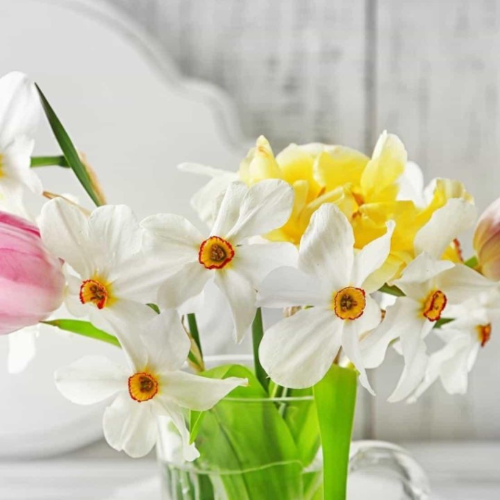 爱吃拔丝丸子的小迷妹36