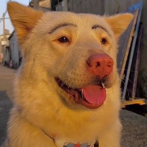 就是爱喝养乐多