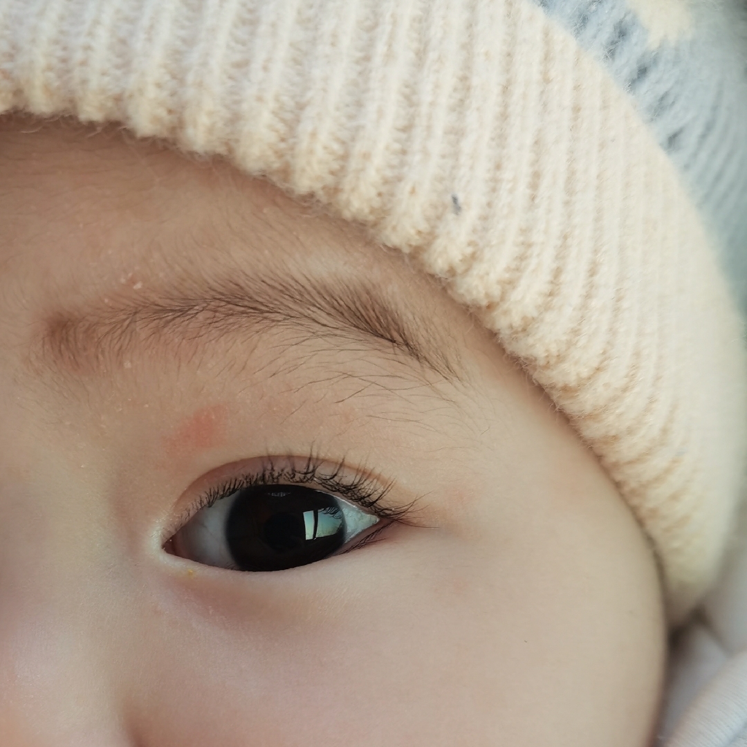 爱吃三仙豆腐的追梦人