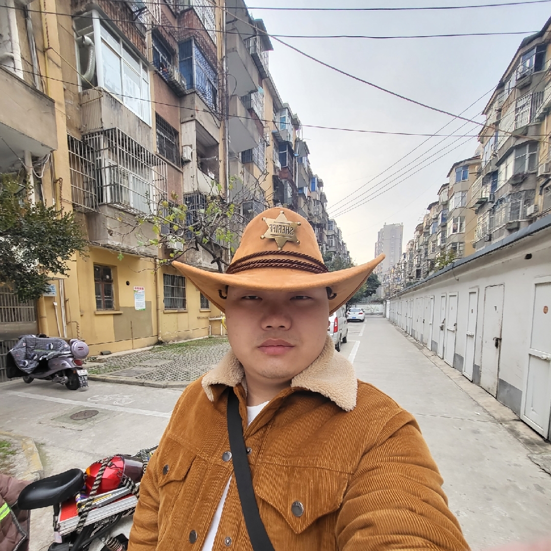 《会飞的绵羊》