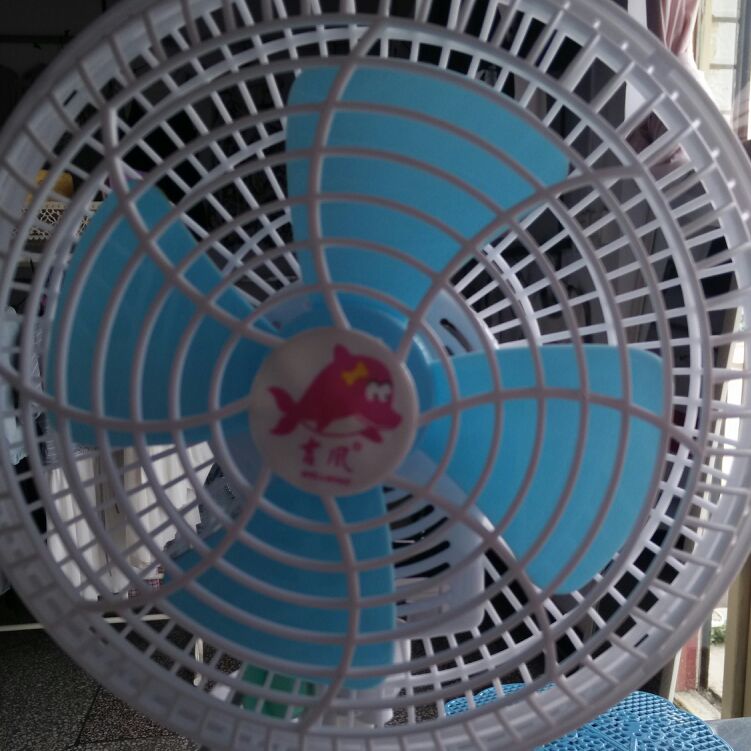 红色的中东海枣b6