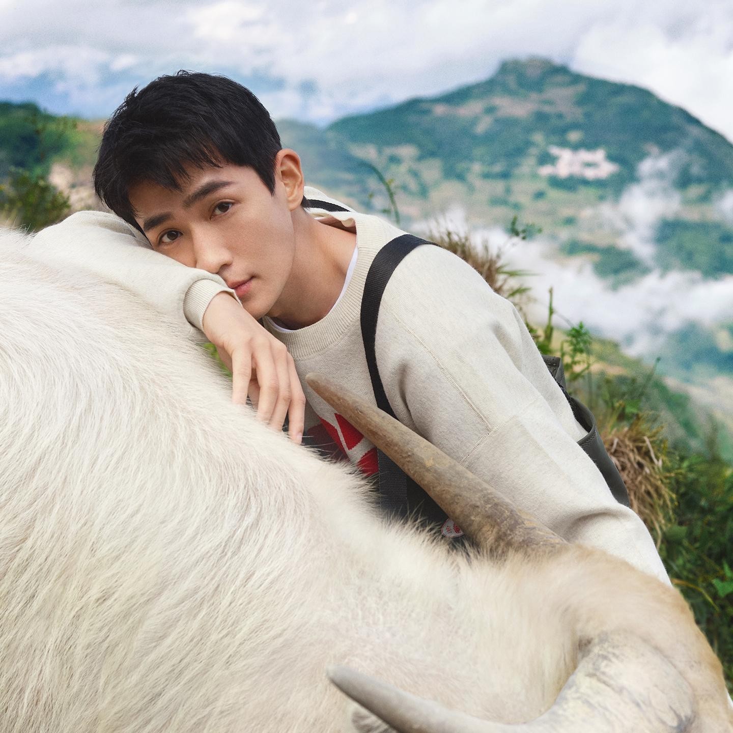 爱吃糖果馄饨的小狼