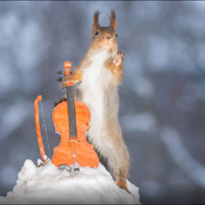你叫我看我就看么