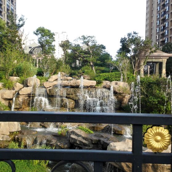 粉扑扑的不丹嵩草ho