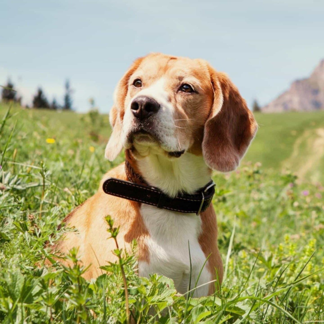 宜昌山娃娃特产食品店11